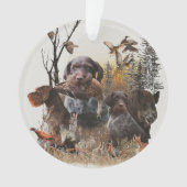 Ornament Wirehaire Pointer (voorkant)