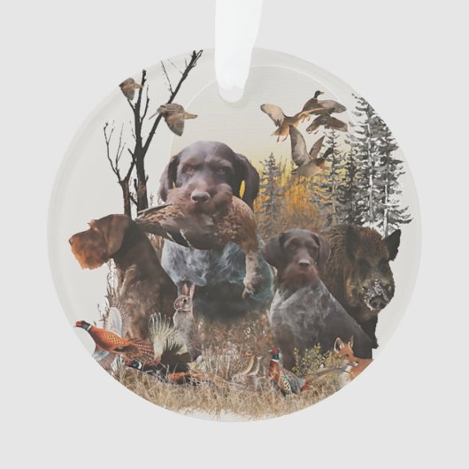 Ornament Wirehaire Pointer (voorkant)