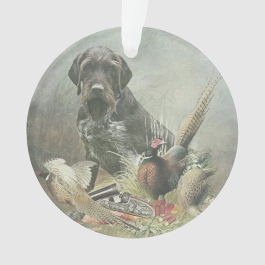 Ornament Wirehaire Pointer (voorkant)