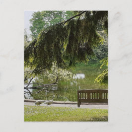 Ornamental Duck Pond Briefkaart