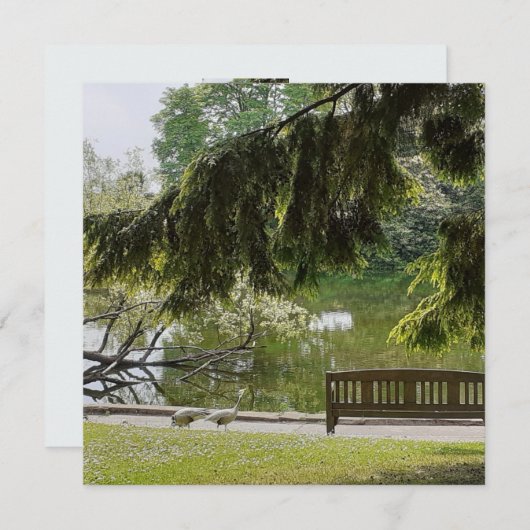 Ornamental Duck Pond Flat Card (Voorkant / Achterkant)
