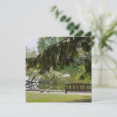 Ornamental Duck Pond Flat Card (Staand voorkant)