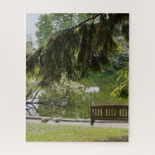 Ornamental Duck Pond Jigzaag Puzzle Legpuzzel
