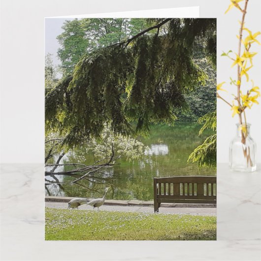 Ornamental Duck Pond Kaart (Gele Bloem)