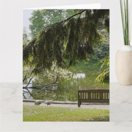 Ornamental Duck Pond Kaart