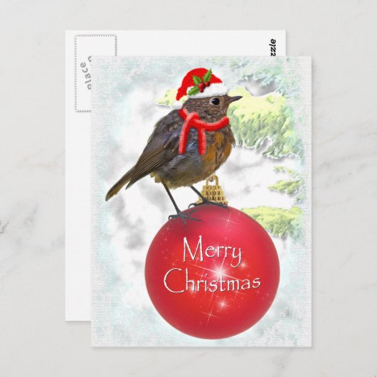 Ornamental Robin Briefkaart (Voorkant / Achterkant)
