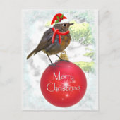 Ornamental Robin Briefkaart (Voorkant)