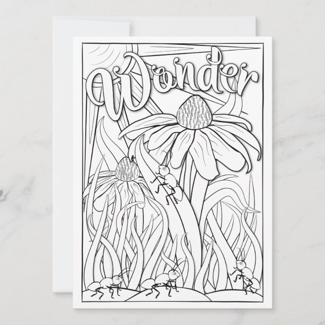 OrnaMENTALs de Anten van het Wonder en de Bloemen  (Voorkant)