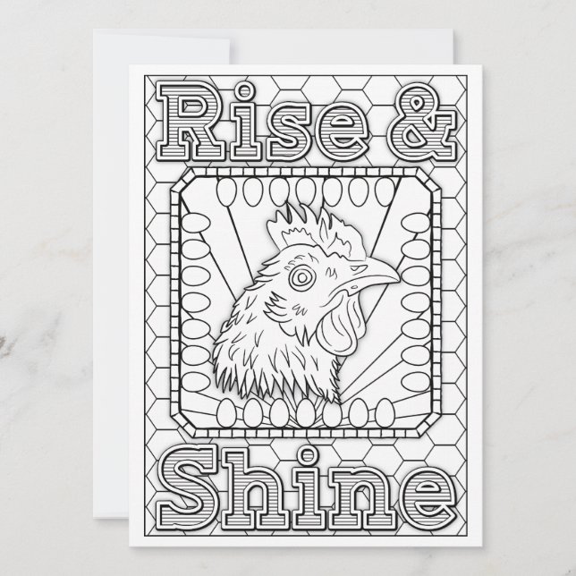 OrnaMENTALs de Stijging & de Kleur van de Schijnki (Voorkant)