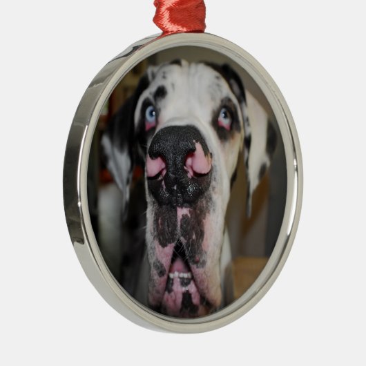 Ornamentdoggen Metalen Ornament (Rechts)