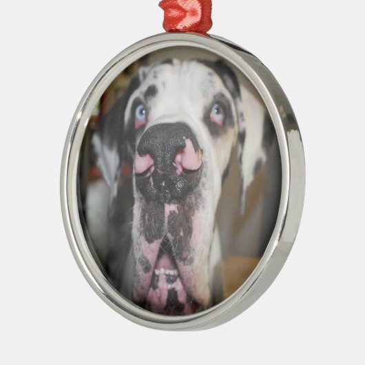 Ornamentdoggen Metalen Ornament (Links)