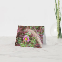 Ornamentele Herfst Grass en Roze Kosmos Kaart