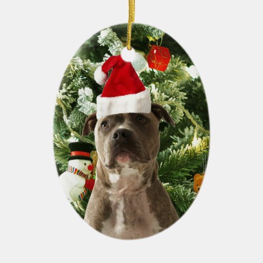 Ornamenten Snowman met Pitbull Dog (Voorkant)