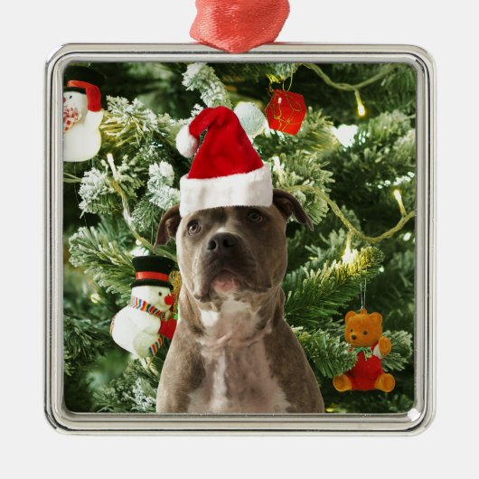 Ornamenten Snowman met Pitbull Dog (Voorkant)