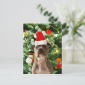 Ornamenten Snowman met Pitbull Dog Feestdagenkaart (Staand voorkant)