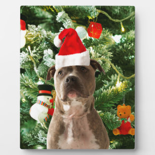 Ornamenten Snowman met Pitbull Dog Fotoplaat