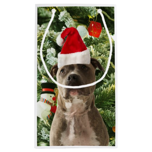 Ornamenten Snowman met Pitbull Dog Klein Cadeauzakje (Achterkant)