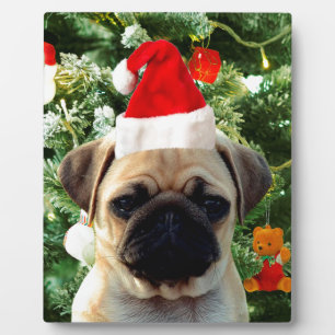 Ornamenten Snowman met Pug Puppy Dog Fotoplaat