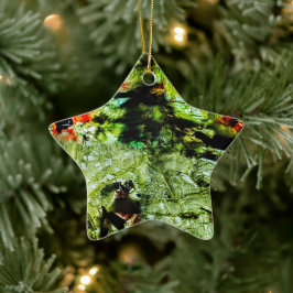 Ornamenten ster, Abstract sterdecor