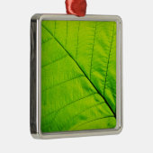 Ornamenten van groene bladeren (Rechts)