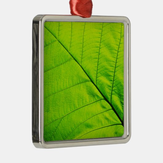 Ornamenten van groene bladeren (Rechts)