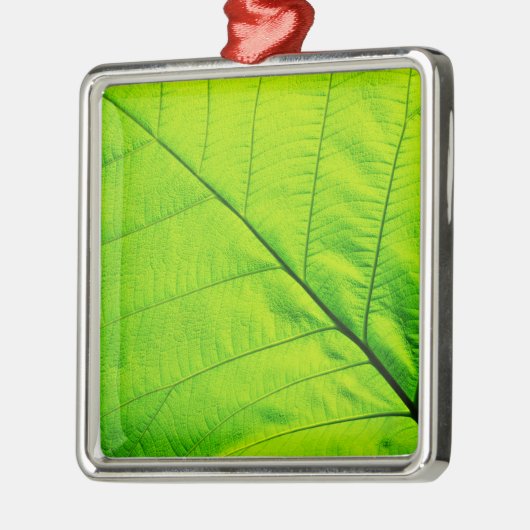 Ornamenten van groene bladeren (Links)