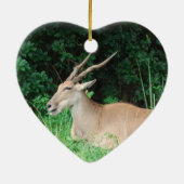 Ornamenten voor de habitat van Zuid-Eland (Achterkant)