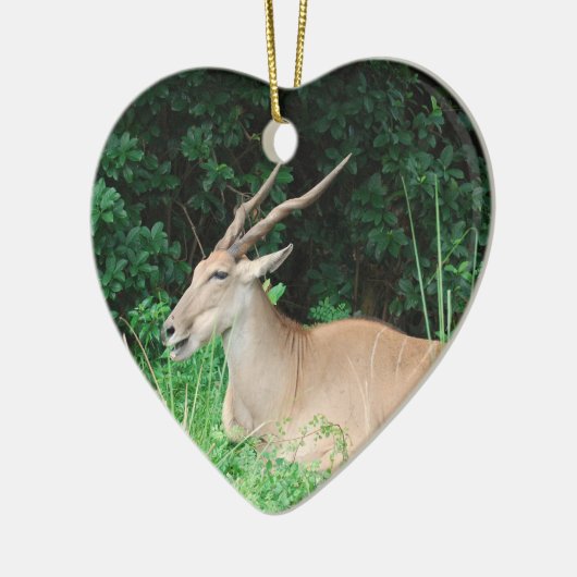 Ornamenten voor de habitat van Zuid-Eland (Links)