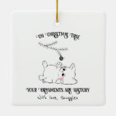 Ornamenten zijn geschiedenis (Achterkant)