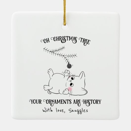 Ornamenten zijn geschiedenis (Achterkant)