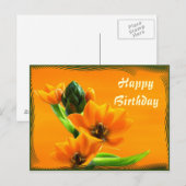 Ornithogalum dubium briefkaart (Voorkant / Achterkant)