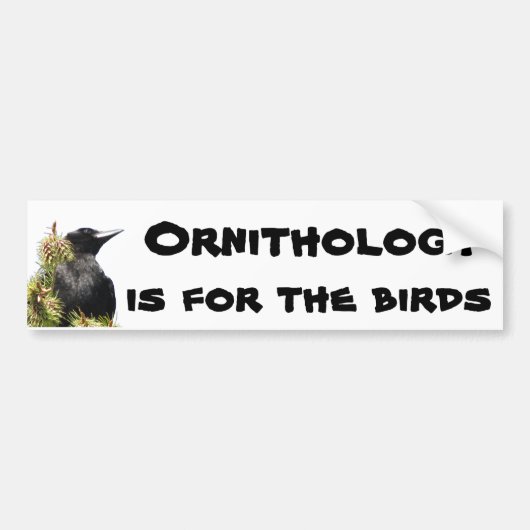 Ornithologie is voor de vogelstand op de boom bumpersticker (Voorkant)
