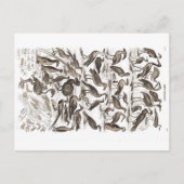 ornithologisch briefkaart (Voorkant)