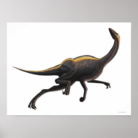 Ornithomimus Poster (Voorkant)