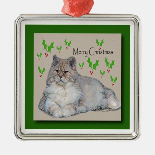 Ornmeeko Metalen Ornament (Voorkant)