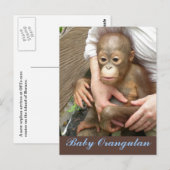 Orphan Baby Orangutan Briefkaart (Voorkant / Achterkant)