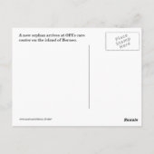 Orphan Baby Orangutan Briefkaart (Achterkant)