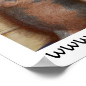 Orphan Baby Orangutan Poster (Hoek)