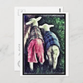 Orphan Lamb Briefkaart (Voorkant / Achterkant)