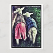 Orphan Lamb Briefkaart (Voorkant)