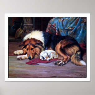 Orphan Puppy en Collie - van Wright Barker Poster