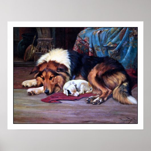 Orphan Puppy en Collie - van Wright Barker Poster (Voorkant)