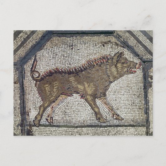 Orpheus Charming the Animals Briefkaart (Voorkant)