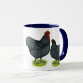 Orpington:  Blauwhaar Mok (Voorkant rechts)