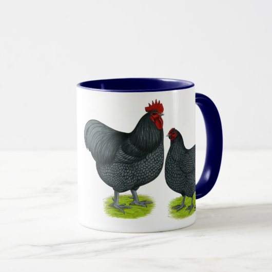 Orpington:  Blauwhaar Mok (Voorkant rechts)