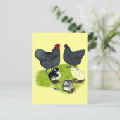 Orpington Blue Chicken Family Briefkaart (Staand voorkant)