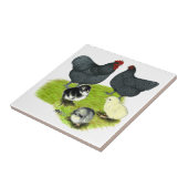 Orpington Blue Chicken Family Tegeltje (Zijkant)