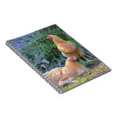 Orpington Hen Notitieboek (Rechterzijde)