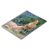 Orpington Hen Notitieboek (Linkerzijde)