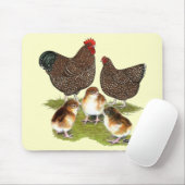 Orpington Jubilee Chicken Family Muismat (Met muis)